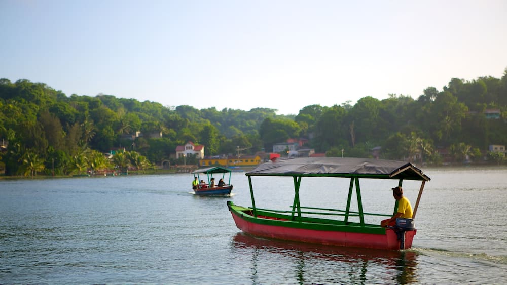 Flores which includes boating, a lake or waterhole and a coastal town