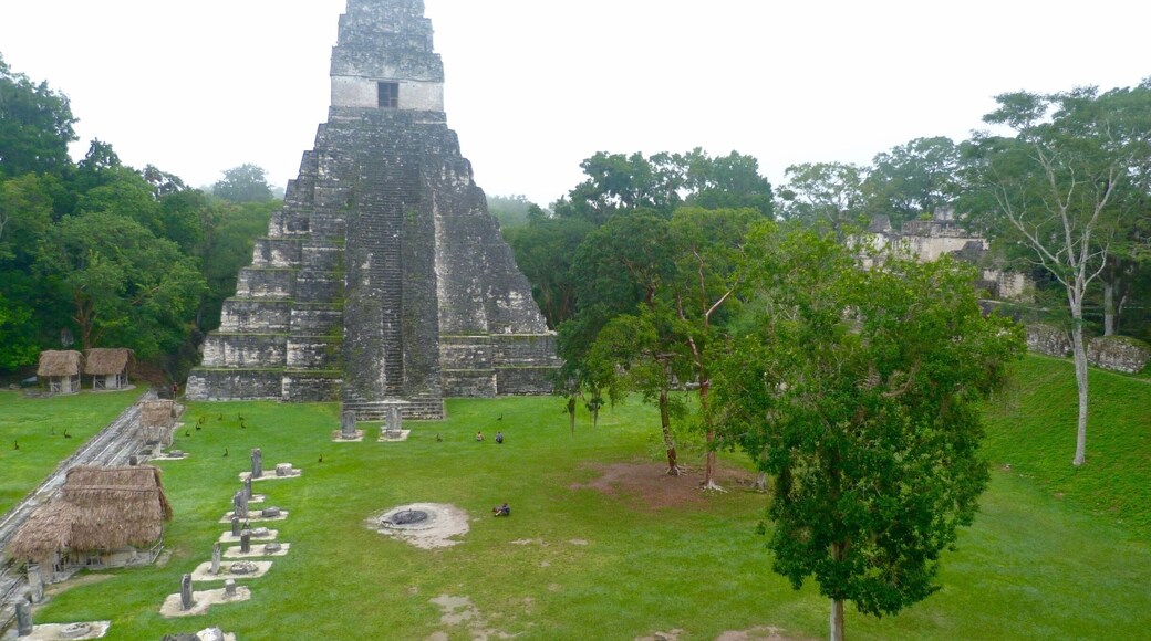 Tikal can be reached from the tranquil lakeside town of Flores. Not to be missed. Get there early, it's worth booking the 4;30am shuttle bus from Flores to get to Tikal for sunrise. Do not get involved in a tour! Get the shuttle and then go off on your own into the jungle! You will have the place more or less to yourself, and will come across wildlife too! We saw coati's, spider monkeys, toucans and other colourful birds and the sound of a jaguar! Don't miss it! Tip for accommodation in Flores, Villa De Lago. Safe, secure, ultra clean, view of the lake and the nicest and most helpful family of staff!