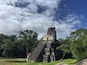 A large pyramid structure surrounded by lush greenery.