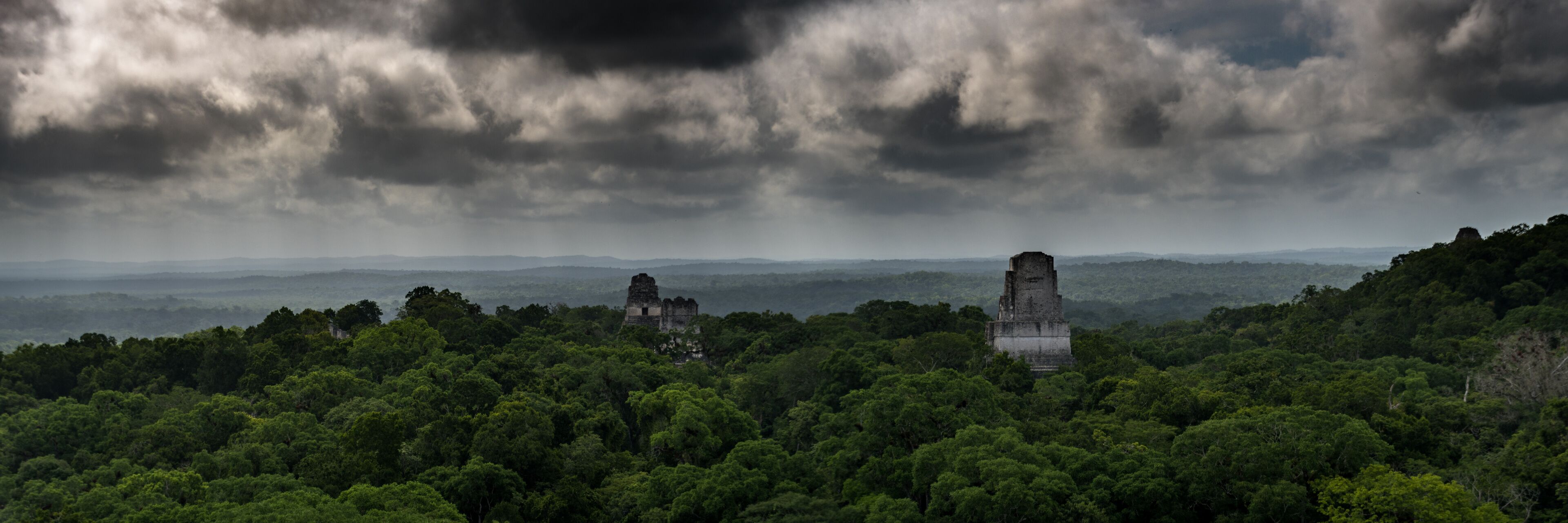 Various Details of the Ruins of Tikal 
