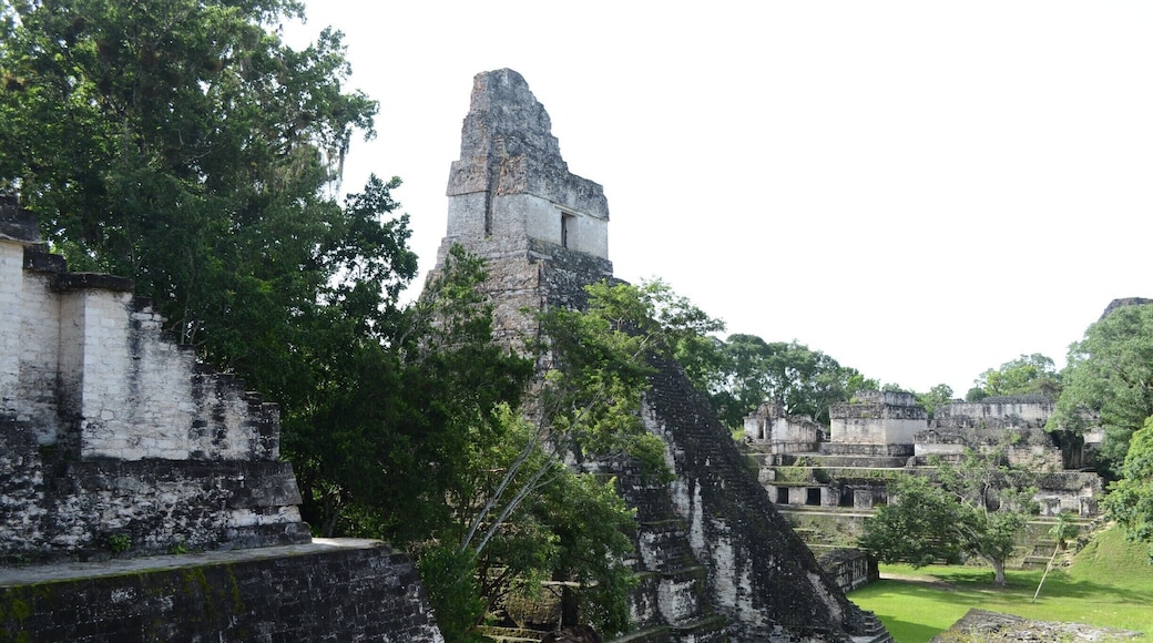Tikal was absolutely incredible. get there early and do the sunrise tour. You'll get to watch the sunrise from the top of the tallest Myan pyramid yet discovered. You get to watch as the jungle just comes alive. The birds wake up, and then the monkeys, and then the other animals of the rainforest. it was a beautiful experience. Do it sometime in the months of December - February so that you will be more likely to actually see the sunrise in a clear sky as opposed to shrouded by early morning fog.