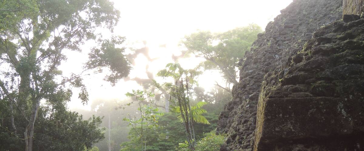 Camping in the jungle so that you may wander Mayan ruins at sunrise has its perks
#adventure
#overlanding #mayanruins