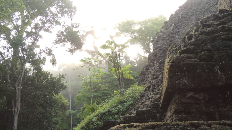 Camping in the jungle so that you may wander Mayan ruins at sunrise has its perks
#adventure
#overlanding #mayanruins