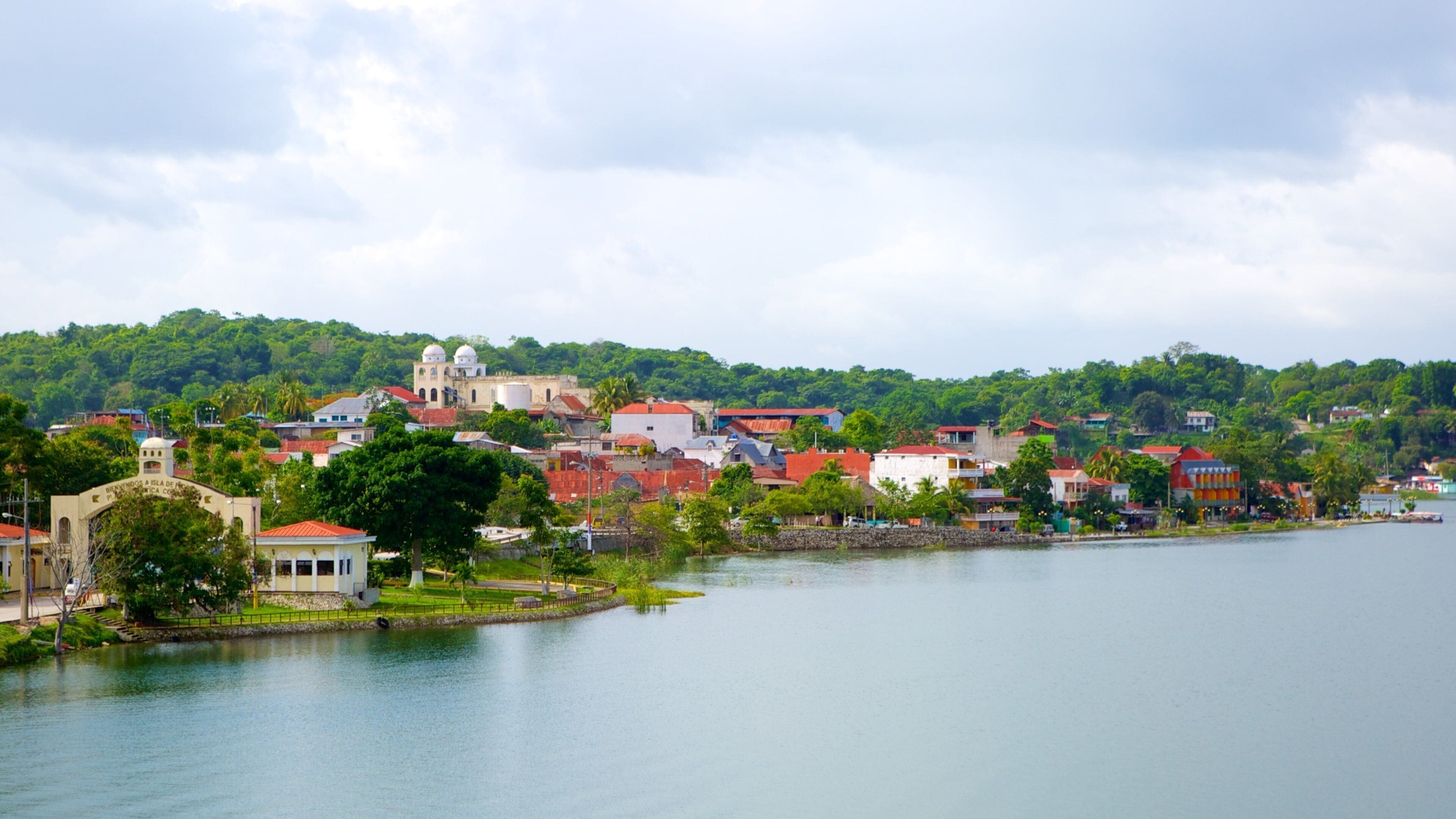 Flores featuring a coastal town