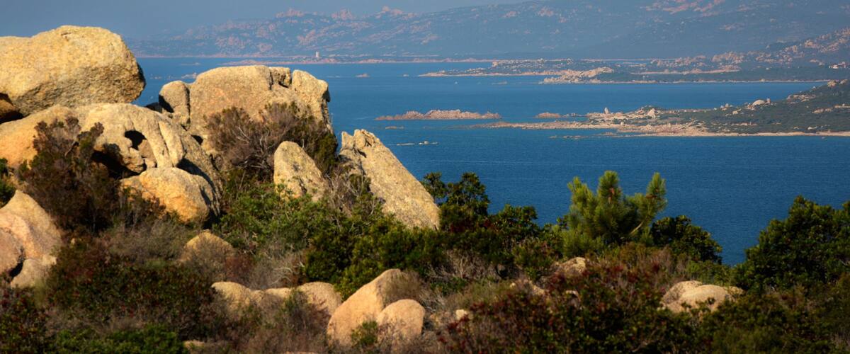 A coastal landscape with large boulders and dense greenery.