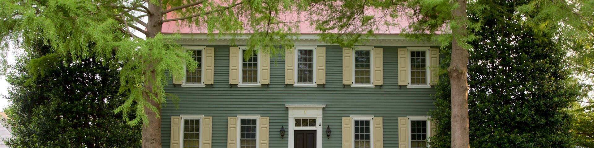 Lewes which includes a house