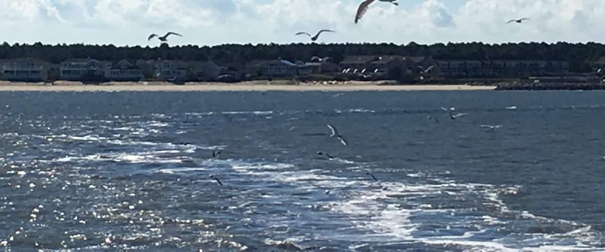 Lewes Terminal, DE