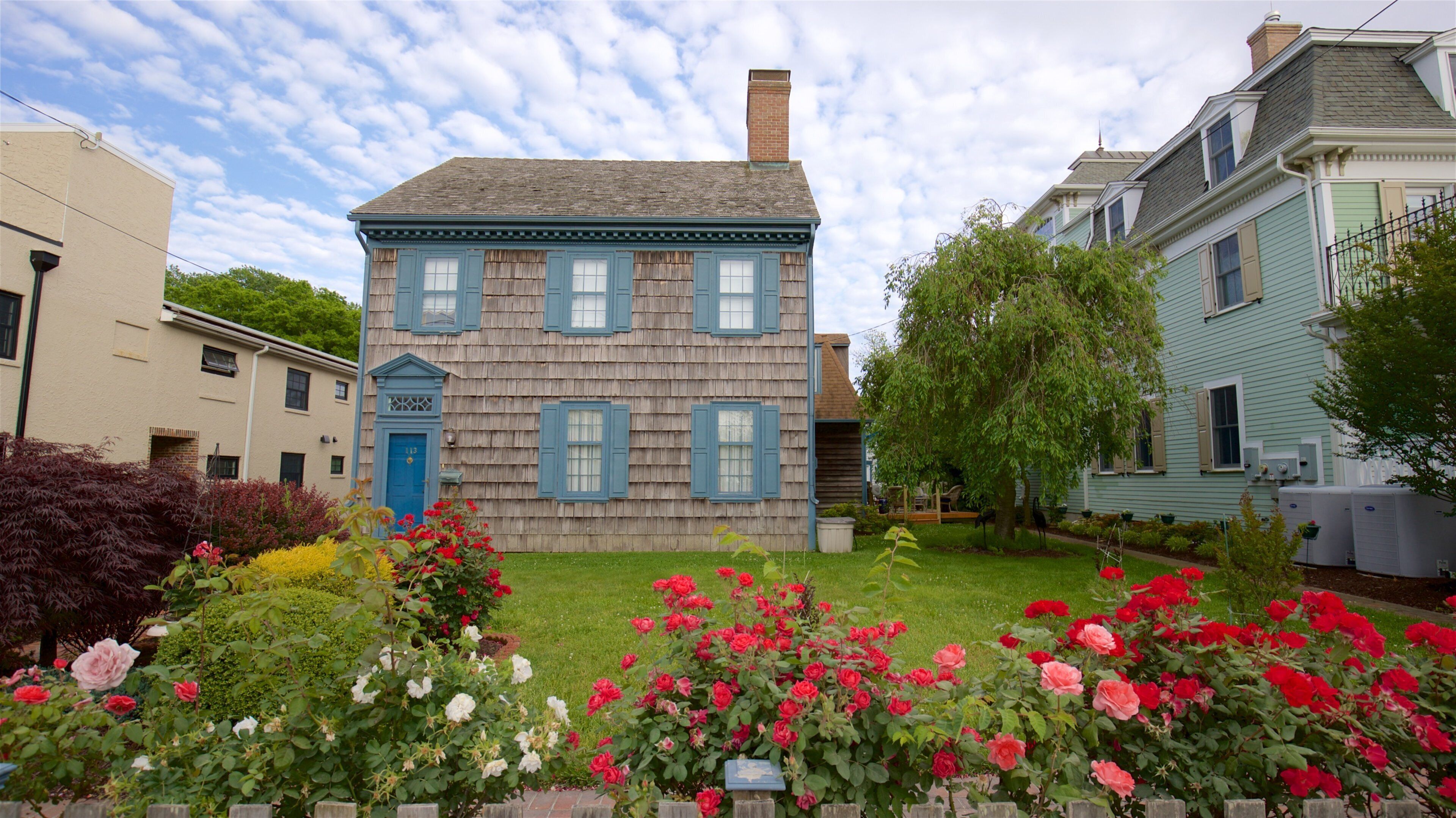 ルイス どの含み 家屋 と 花