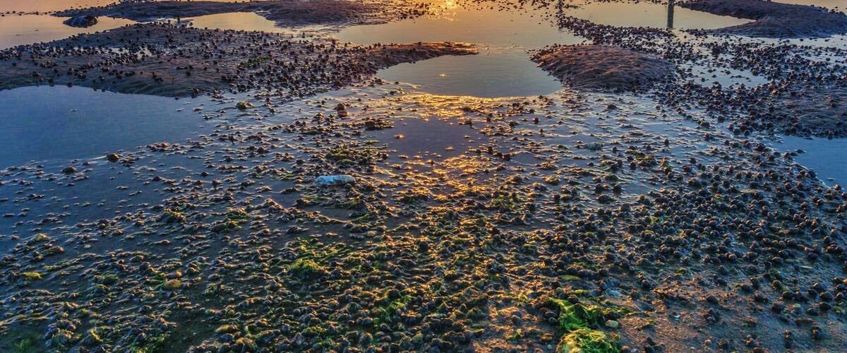 Sunsets never fail to impress.