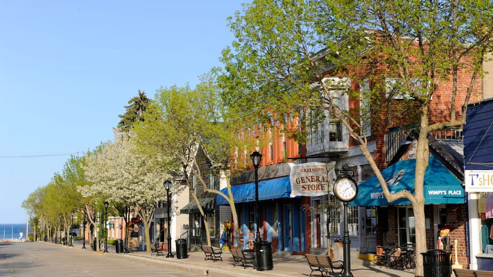 A street lined with trees, benches, and storefronts, including a Genera Store and a T's Hee store.