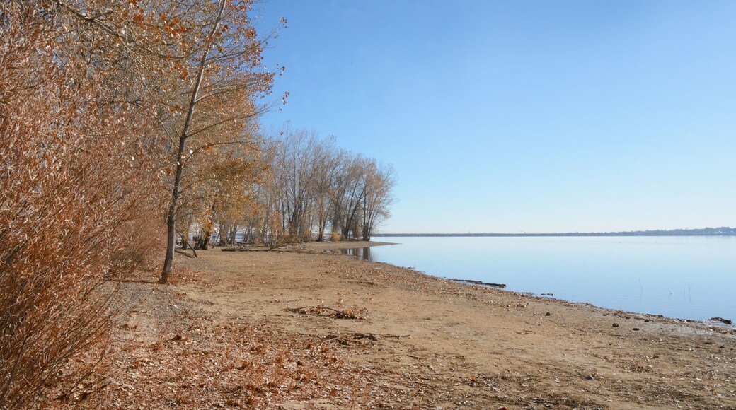 A lakeside scene with leafless trees and a sandy shore.