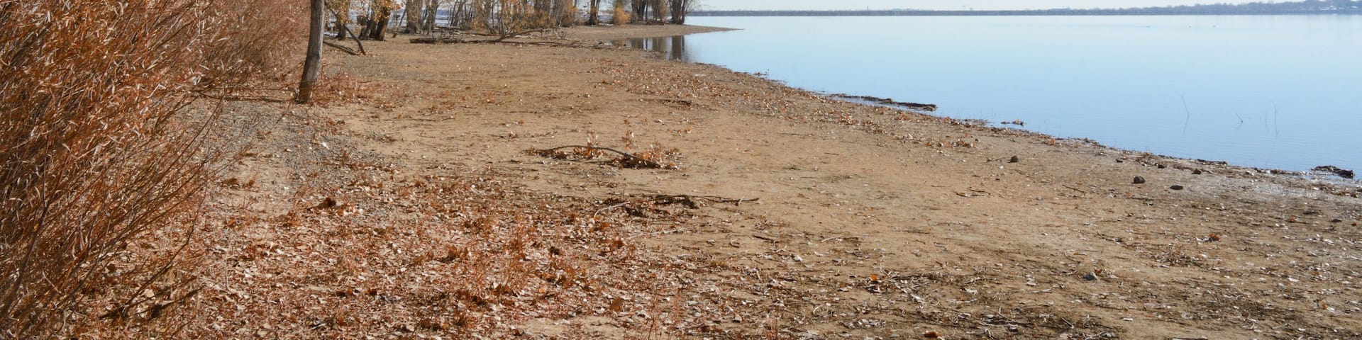 A lakeside scene with leafless trees and a sandy shore.