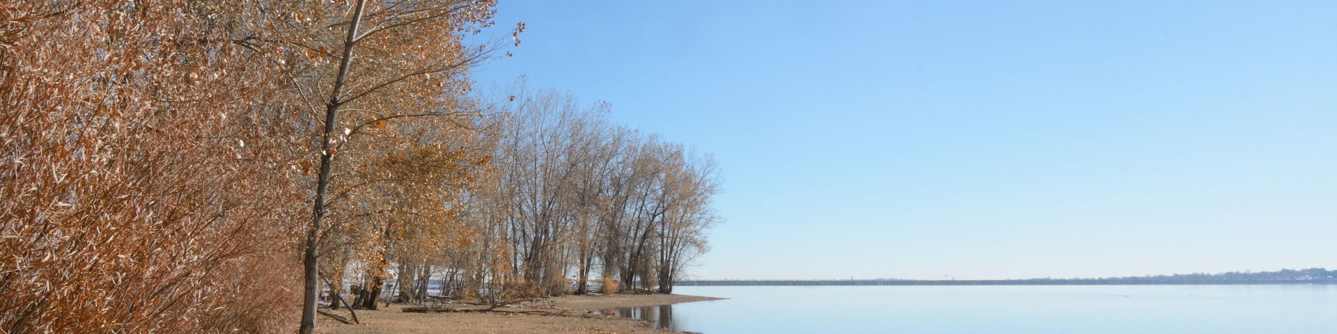 A lakeside scene with leafless trees and a sandy shore.
