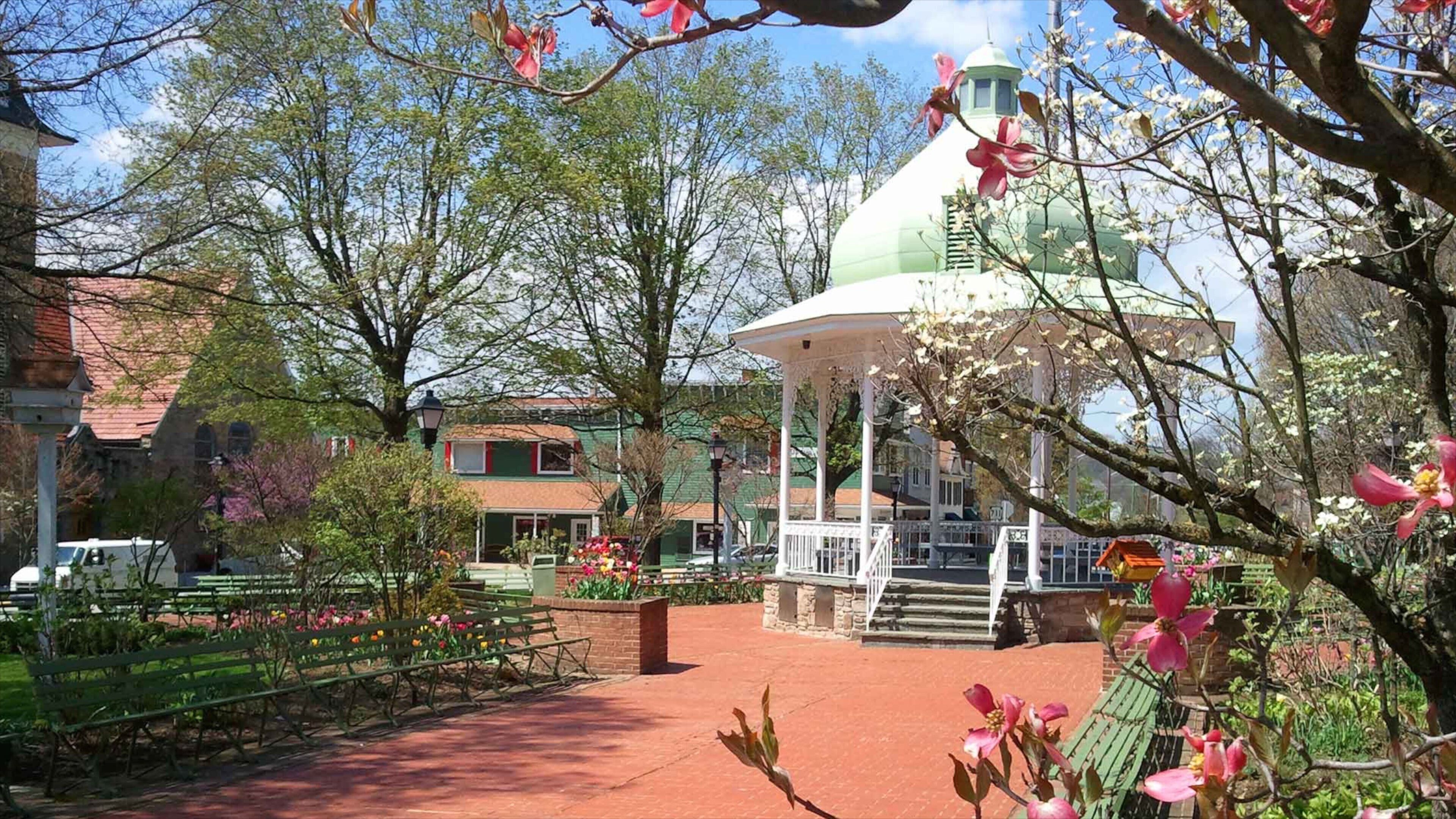 Ligonier featuring a garden