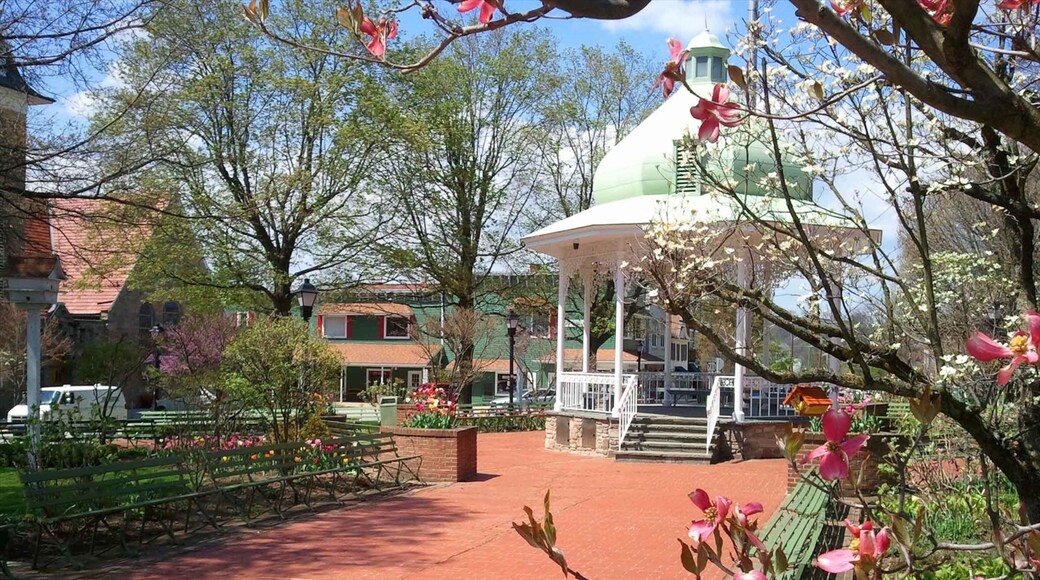 Ligonier featuring a garden