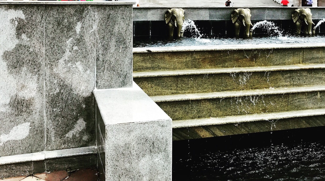 Visiting BAPS Shri Swaminarayan Mandir Temple in Lilburn Georgia. A beautiful place that feels like a little piece of India here in the Georgia.
