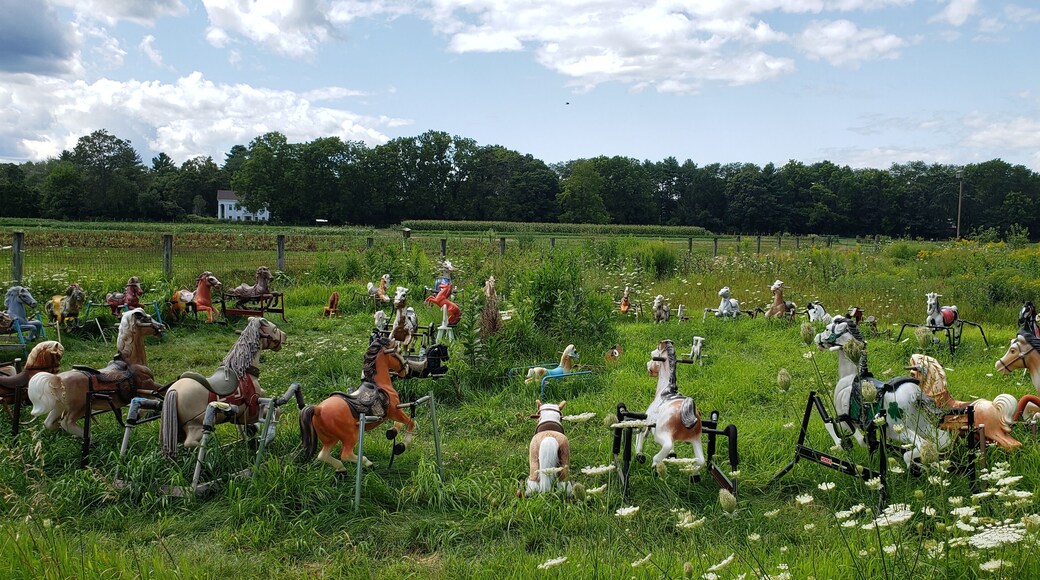 Ponyhenge is so much creepier in person
#abandoned #creepy #adventures #urbanexploration #urbanex