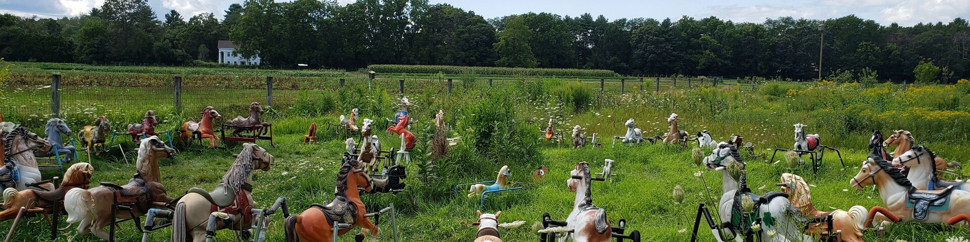 Ponyhenge is so much creepier in person
#abandoned #creepy #adventures #urbanexploration #urbanex