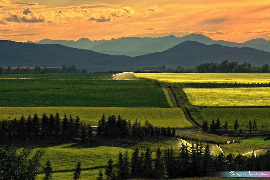 The Art of Landscape *A Beautiful Nature*

#MyBackyard
#Montana
#Bozeman
#USA
#Sunset
#Landscape
#Cloud
#Cloudscape
#Sky

Let me know if you don't feel "Serenity, Harmony and Calmness" in this photo. The Art Of Landscape captured after sunset towards Green Mountain, Montana USA. 

Photo Licensed by iLOVEnature's Photography Inspiration l All rights reserved