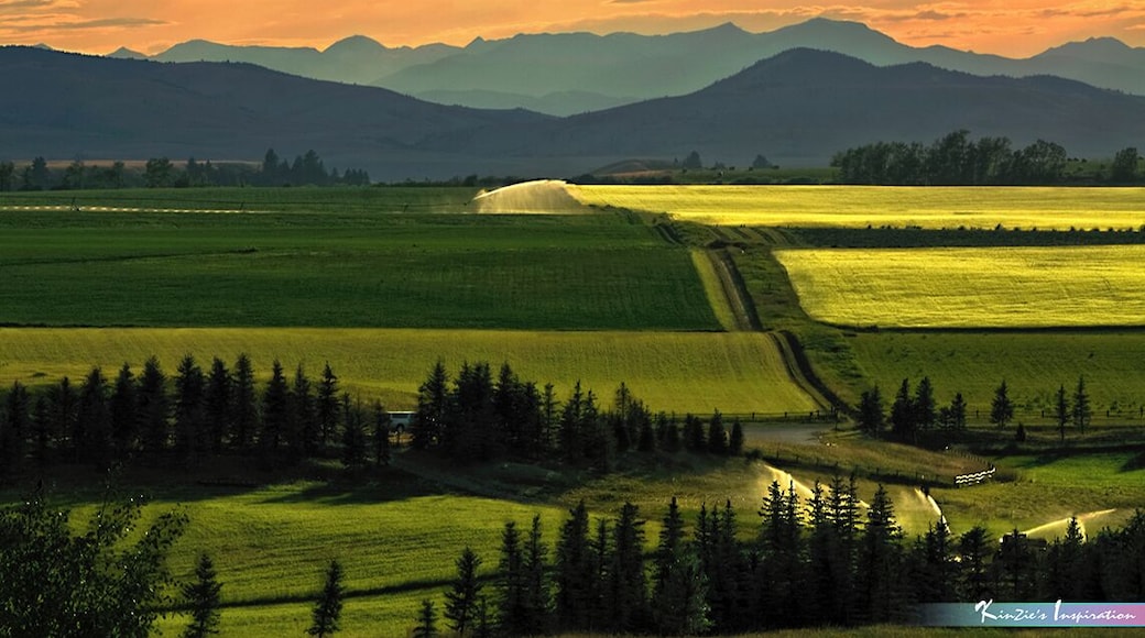 The Art of Landscape *A Beautiful Nature*
#MyBackyard
#Montana
#Bozeman
#USA
#Sunset
#Landscape
#Cloud
#Cloudscape
#Sky
Let me know if you don't feel "Serenity, Harmony and Calmness" in this photo. The Art Of Landscape captured after sunset towards Green Mountain, Montana USA.
Photo Licensed by iLOVEnature's Photography Inspiration l All rights reserved