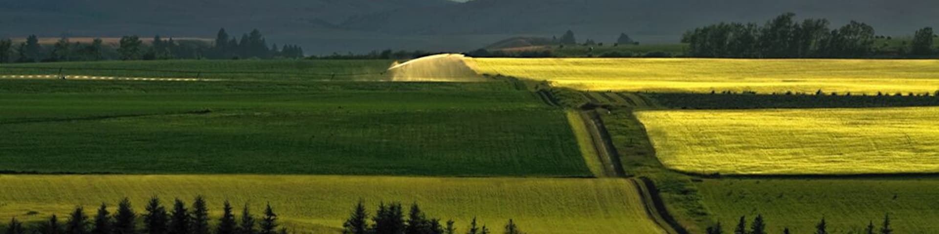 The Art of Landscape *A Beautiful Nature*
#MyBackyard
#Montana
#Bozeman
#USA
#Sunset
#Landscape
#Cloud
#Cloudscape
#Sky
Let me know if you don't feel "Serenity, Harmony and Calmness" in this photo. The Art Of Landscape captured after sunset towards Green Mountain, Montana USA.
Photo Licensed by iLOVEnature's Photography Inspiration l All rights reserved