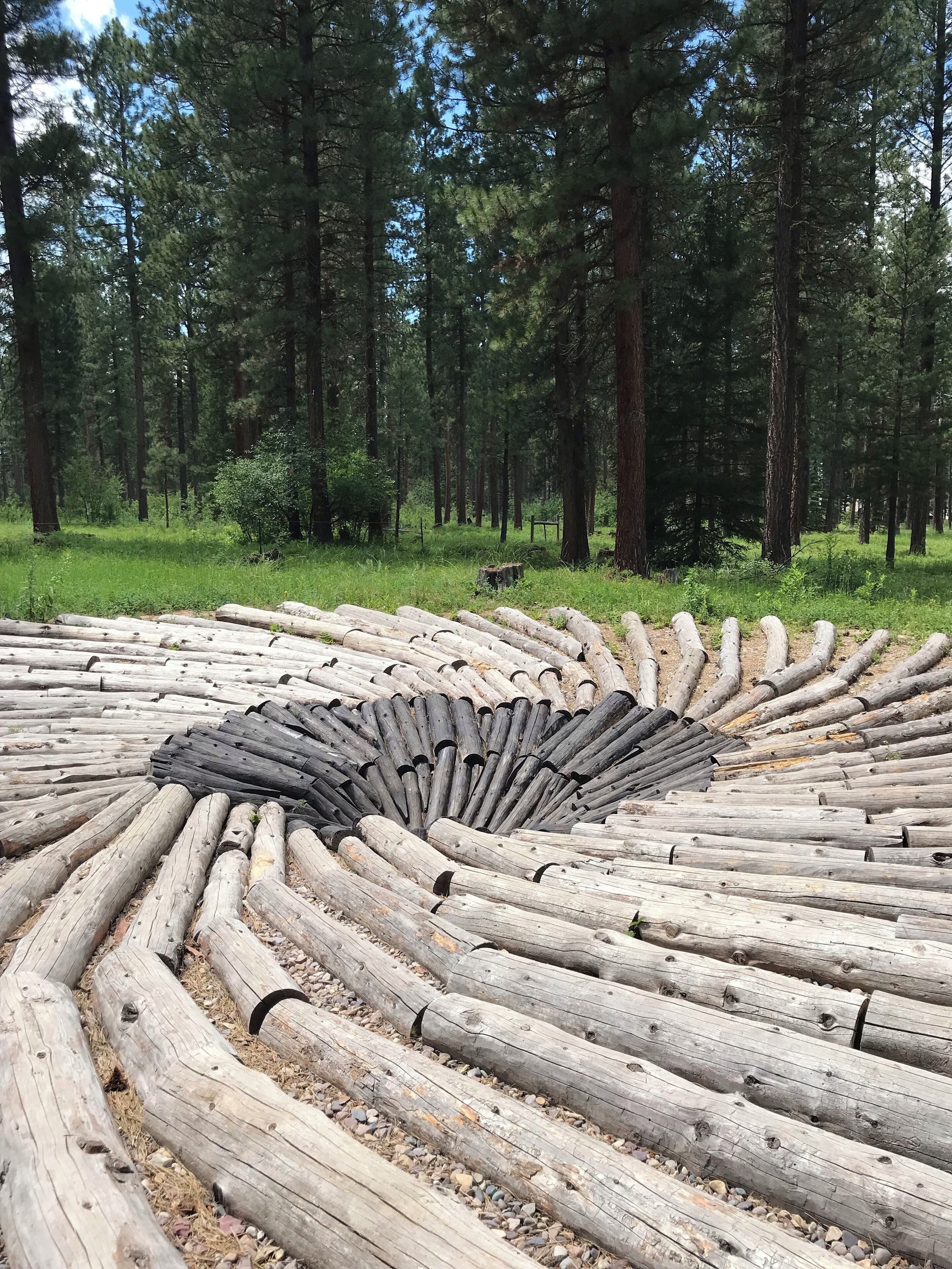 “Ponderosa Whirlpool” artist: Chris Drury.