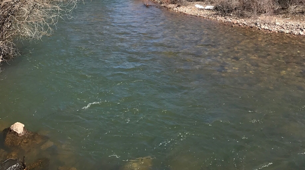Blackfoot River near Lincoln, MT