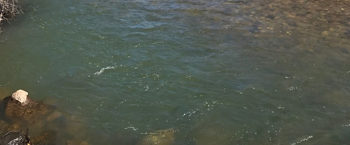 Blackfoot River near Lincoln, MT