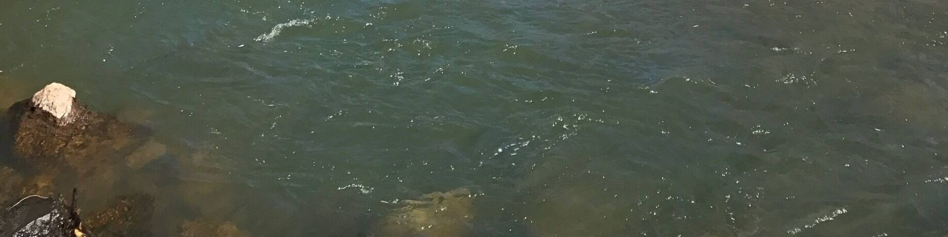 Blackfoot River near Lincoln, MT