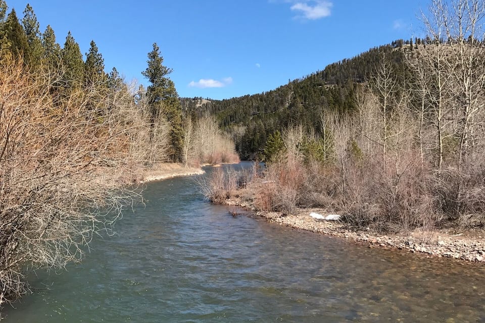 A river flowing through a forested valley with clear skies.