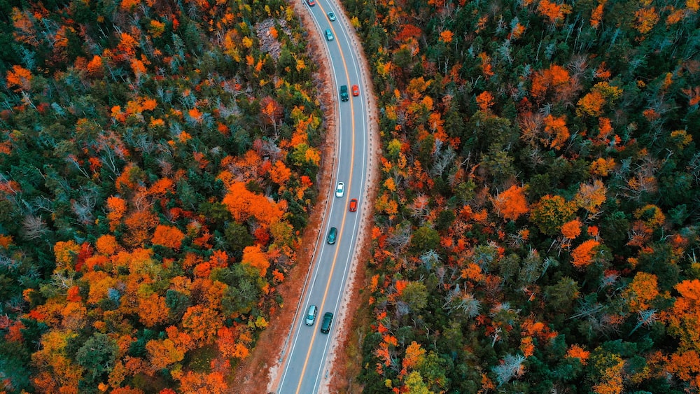 Eine Vogelperspektive auf eine kurvenreiche Straße, die durch ein mit Herbstlaub bedecktes Waldstück führt.