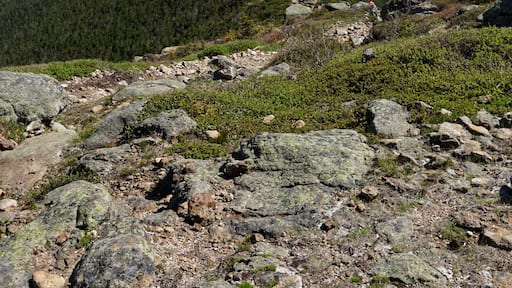 Mount Lafayette and Franconia Ridge Trail Loop - 12.6 km. Ascended the falling water trail featuring panoramic views up top and descended via the old bridle path with a stop for water refill at the hut!
