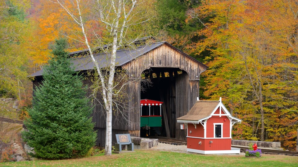 A wooden covered bridge with a small red and white station nearby.