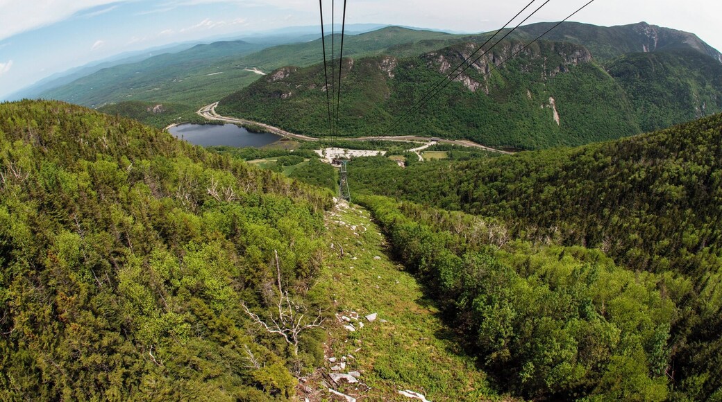 #hiking.. i love hiking being out doors following a trail or just making my own fresh air and the out doors is amazing. i hike every chance i can close to home or travel to find new locations, I'm from akron Ohio but i love to travel this photo was from..NH great adventures all around