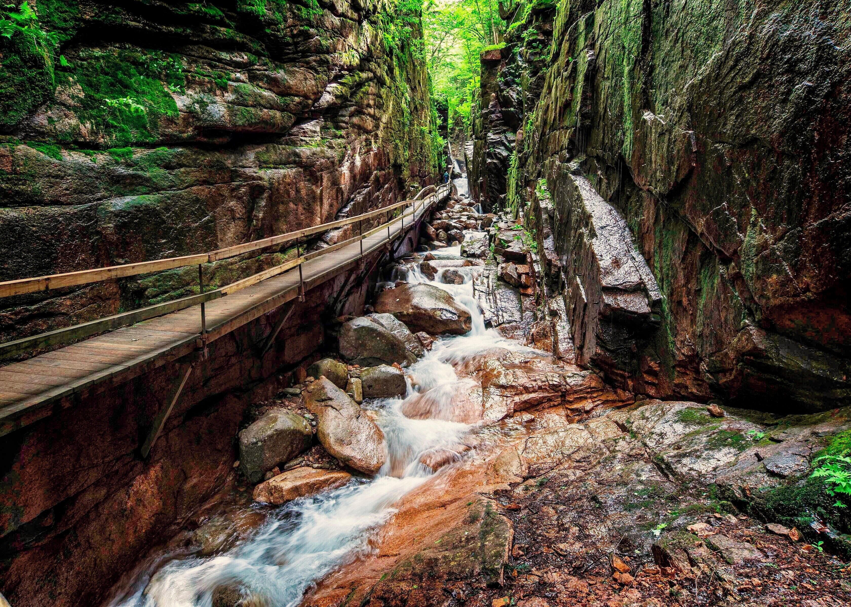 A wooden bridge over a rocky stream in a forested gorge.