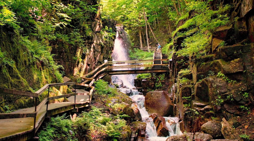 As you walk up the Flume Gorge, this sight greets you. An amazing waterfall and the boardwalks take you right to the top of it. Just as cool to look down the gorge.