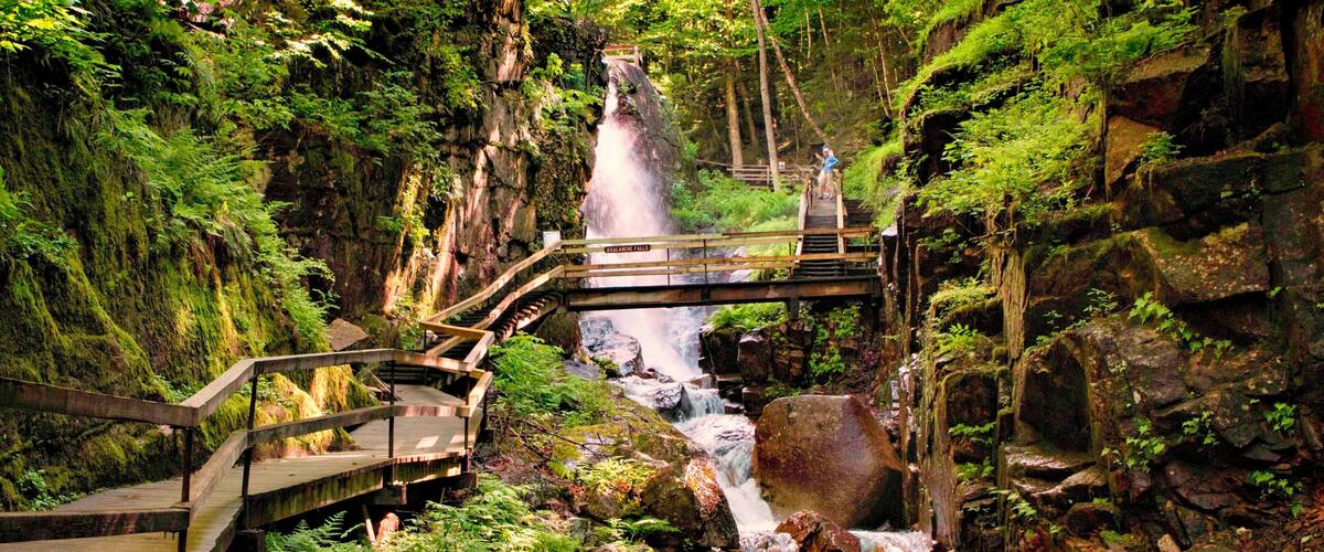 As you walk up the Flume Gorge, this sight greets you. An amazing waterfall and the boardwalks take you right to the top of it. Just as cool to look down the gorge.