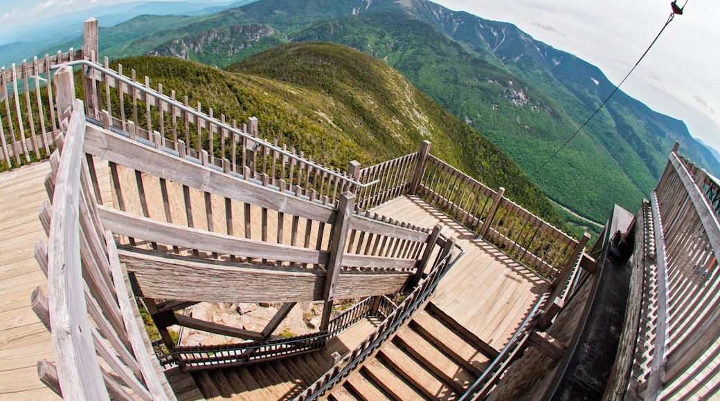 #hiking.. i love hiking being out doors following a trail or just making my own fresh air and the out doors is amazing. i hike every chance i can close to home or travel to find new locations, I'm from akron Ohio but i love to travel this photo was from..NH great adventures all around