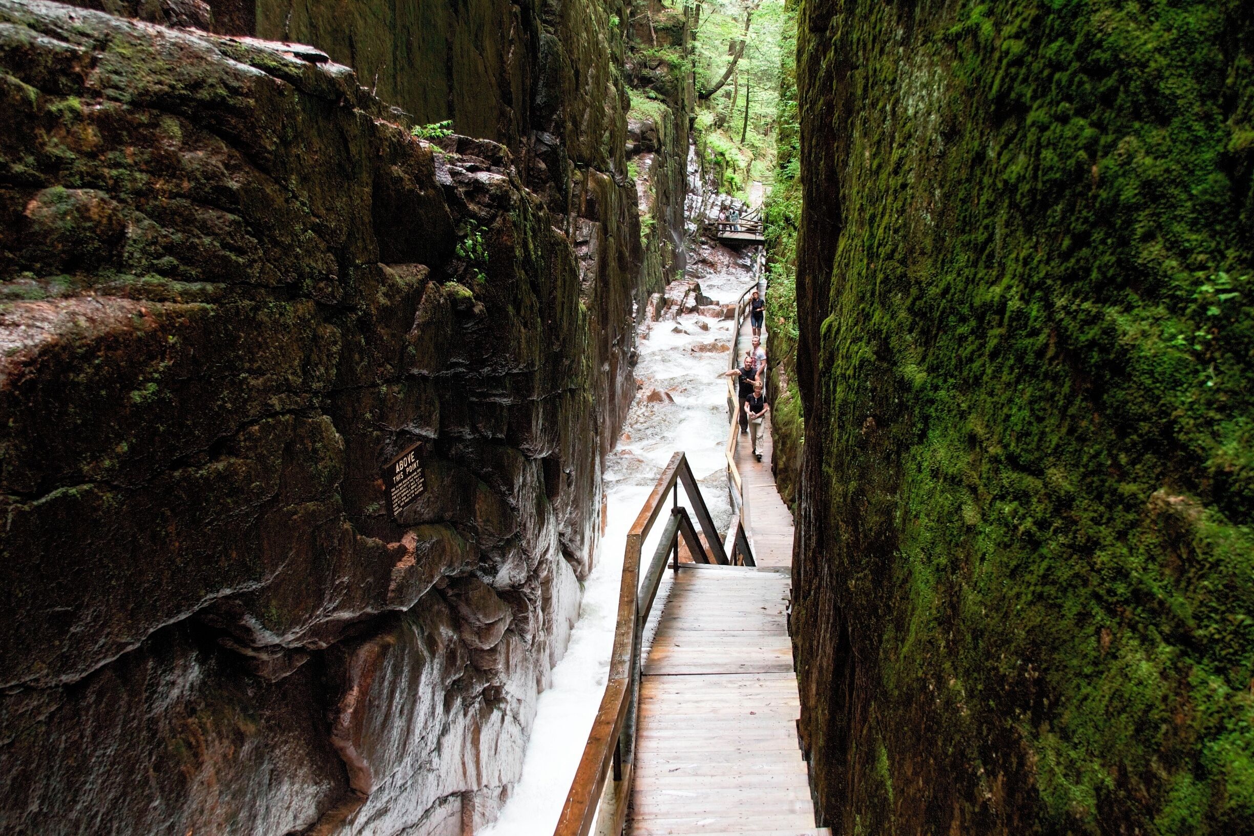 A narrow wooden pathway flanked by moss-covered rock walls, leading through a forested area.