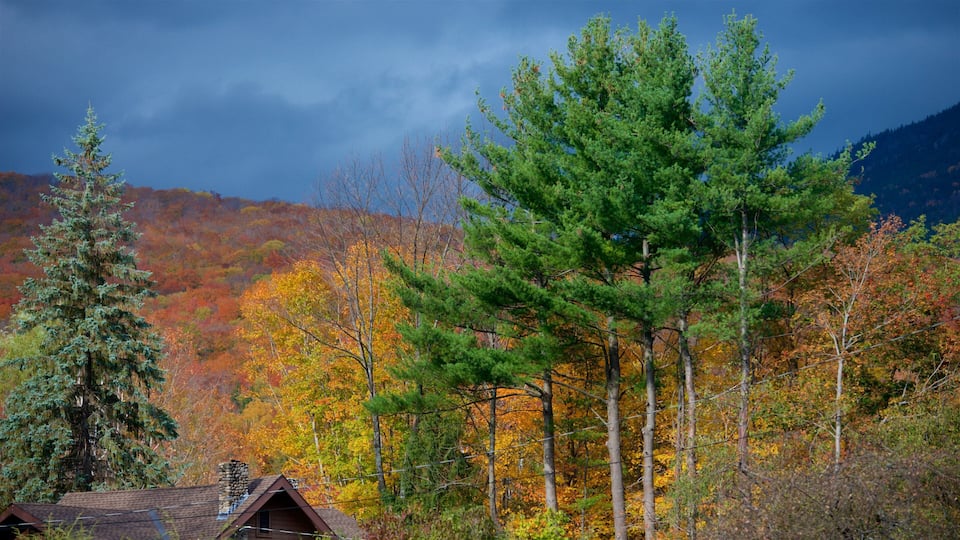A cabin surrounded by autumn-colored trees and a mountain in the background.