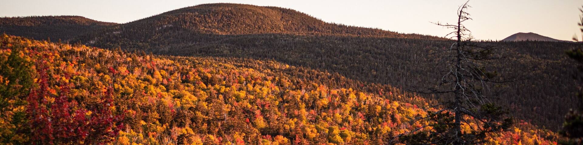 Morning along The Kanc. #autumn #fall #nature #whitemountains #newhampshire #fallcolors #newengland