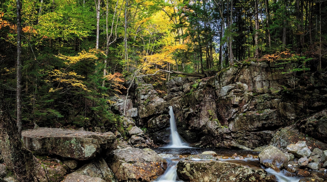 Kinsman Falls is one of many waterfalls found on Cascade Brook in Franconia Notch State Park. Unlike the other waterfalls on this brook, it falls vertically into a deep pool, providing a refreshing place to cool off when the current isn't moving too swiftly. Kinsman Falls is about 20 feet tall and remarkably narrow. It takes a half-mile hike along the Basin Cascade Trail to reach, which weeds out some of the crowds that swarm the Franconia Notch Valley.
#autumn #colors #waterfall #hiking #greatoutdoors #nature #MyBackyard #trovember