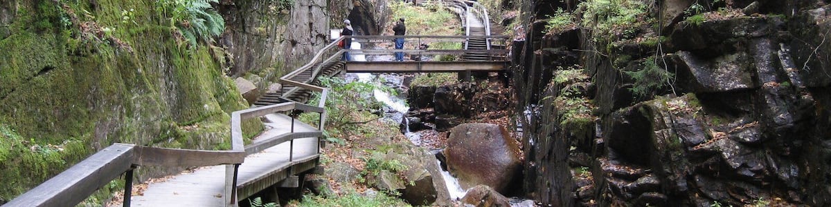 0_4746be42-d60f-4b8a-87a5-7435cc78b0e2_raw