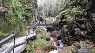 Uma ponte de madeira sobre um pequeno riacho em uma área arborizada com penhascos rochosos e árvores cobertas de musgo.