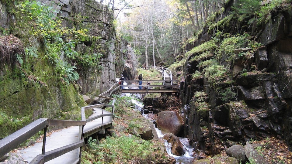 A wooden bridge over a small stream in a forested area with rocky cliffs and moss-covered trees.