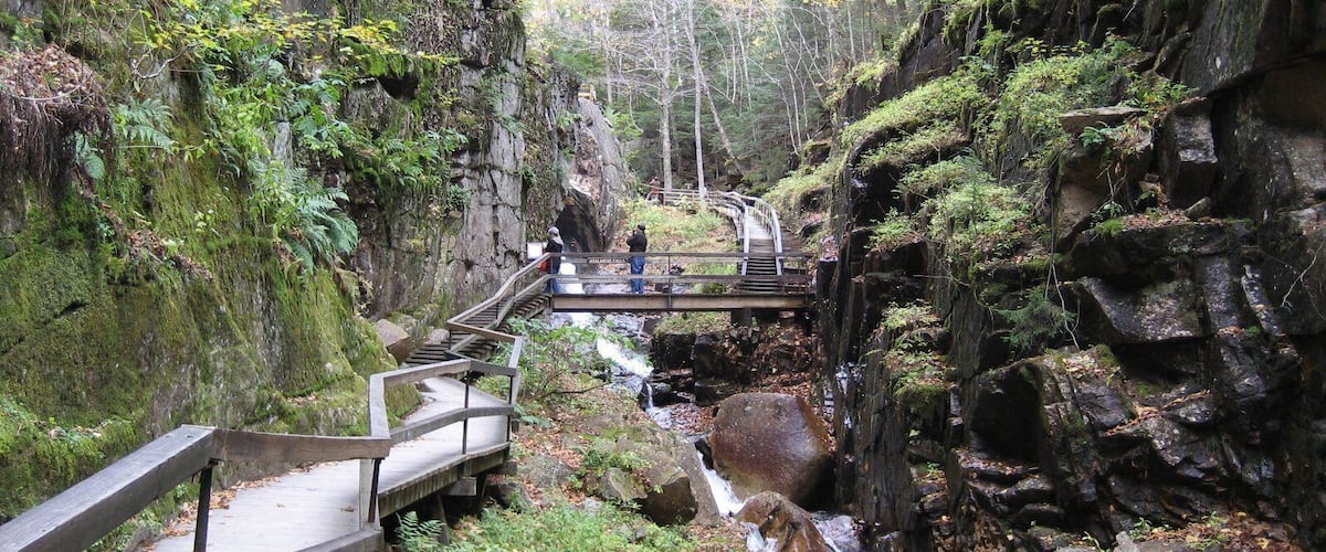 0_4746be42-d60f-4b8a-87a5-7435cc78b0e2_raw