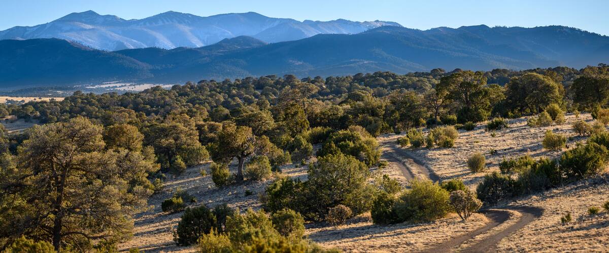 A dry, hilly landscape with scattered trees and a dirt path leading towards distant mountains.