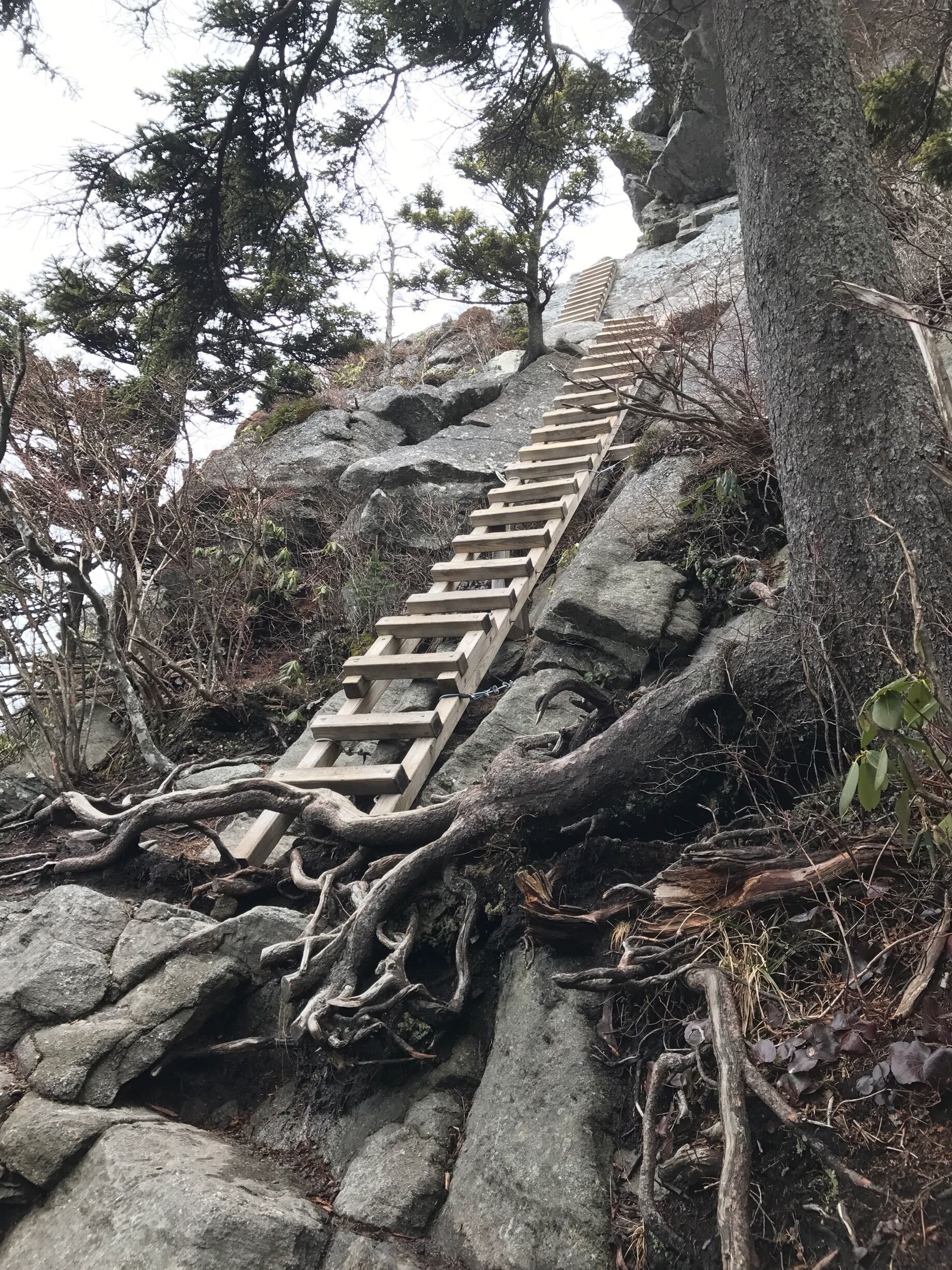 Climbing the ladders to the rugged, rocky ridge of Grandfather Mountain near Linville, NC.  Amazing views from the top!