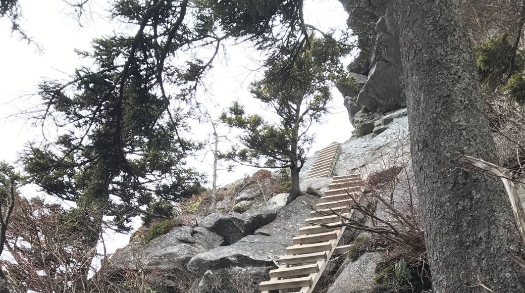 Climbing the ladders to the rugged, rocky ridge of Grandfather Mountain near Linville, NC. Amazing views from the top!