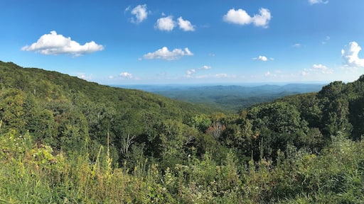 This photo was taken on September 20th, around 4:30 pm. This overlook on the Blue Ridge Parkway really shows how a moment of peace and quiet is only but a short drive from Boone, NC. I like to visit this area while the weather is still warm and the Parkway is open for whomever wishes to visit. The Blue Ridge Parkway, though likely not the quickest route to any destination, sure is worth the extra gas money. While cruising through some of the most beautiful parts of North Carolina and Virginia, the plethora of breathtaking overlooks entice you to stop what you are doing and quite literally enjoy the view. There is a calm that overtakes you when on the Blue Ridge. What you are seeing in front of you makes you feel so small and distant from the rest of the world. However, when you look to your side you see the handful of other spectators who are likely looking for tranquility.
#AppalachianEchoes
